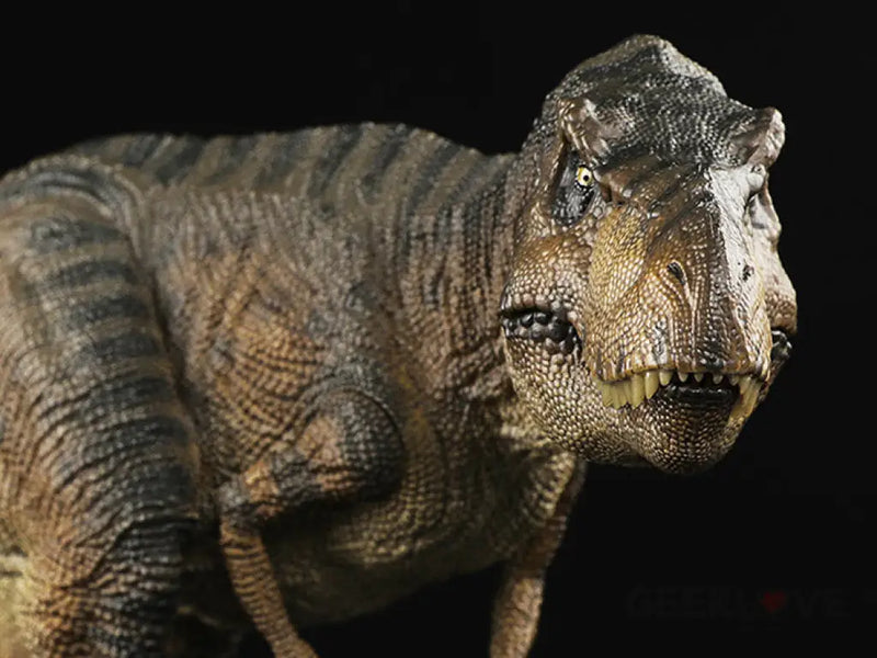 Female Tyrannosaurus rex 