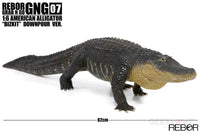 Rebor Gng 07 1:6 American Alligator Bizkit Downpour Ver. Pre Order Price Dinosaur