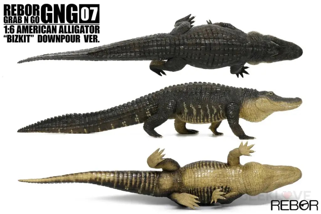 Rebor Gng 07 1:6 American Alligator Bizkit Downpour Ver. Dinosaur