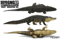 Rebor Gng 07 1:6 American Alligator Bizkit Downpour Ver. Dinosaur