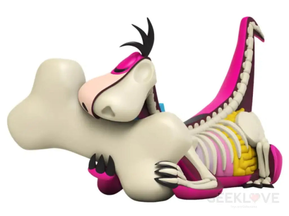 Xxray Plus: Dino Designer/Art Toy