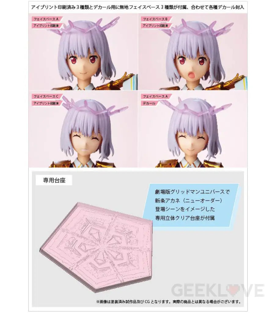 Akane Shinjo (New Order) Articulated Plastic Model Action Figure
