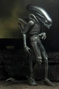 Alien 40th Anniversary Series 16 Set of 3 Figures - GeekLoveph