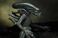 Alien 40th Anniversary Series 16 Set of 3 Figures - GeekLoveph