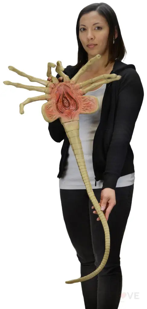 Alien Foam Prop Replica Life-Size Facehugger (Reproduction 2023) Preorder