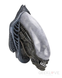 Alien Foam Prop Replica Xenomorph Wall-Mounted Bust Pre Order Price Preorder