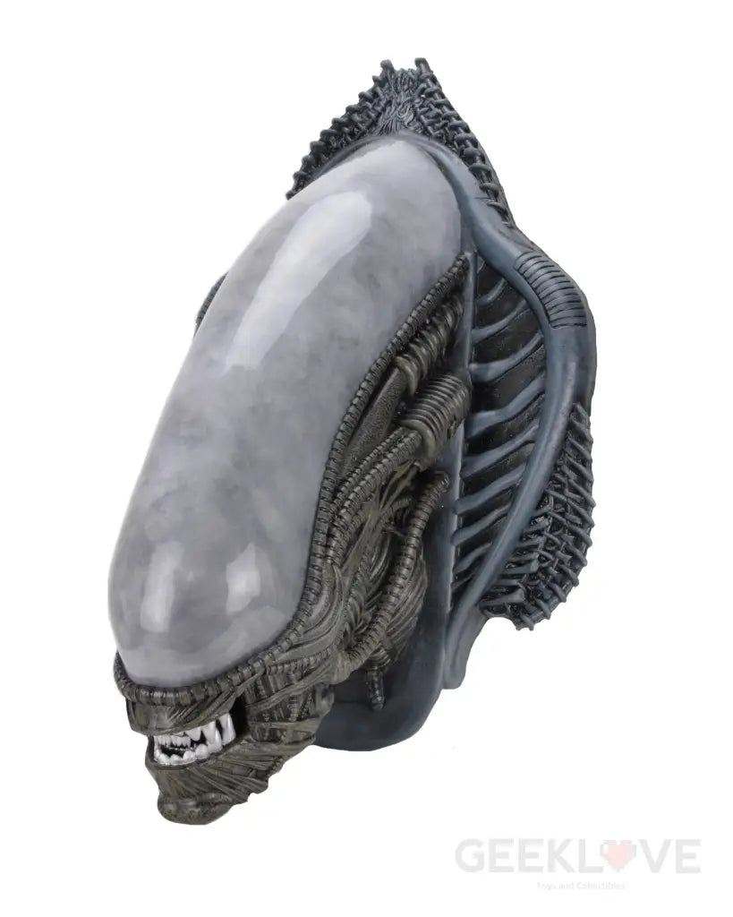 Alien Foam Prop Replica Xenomorph Wall-Mounted Bust Preorder