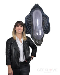 Alien Foam Prop Replica Xenomorph Wall-Mounted Bust Preorder