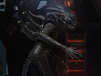 Alien One:12 Collective Alien - GeekLoveph