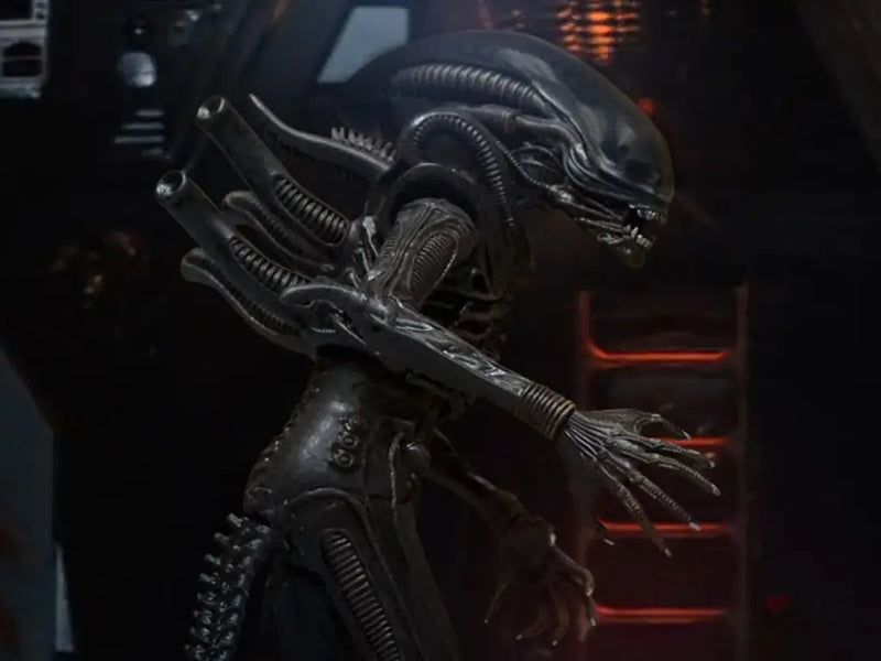 Alien One:12 Collective Alien