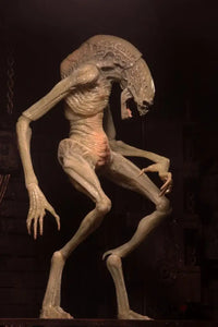 Alien Resurrection – 11″ Scale Action Figure – Deluxe Newborn - GeekLoveph