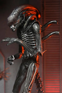 Alien Romulus 7in Ultimate Xenomorph XX121 Action Figure Action Figure