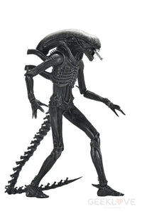 Alien Romulus 7in Ultimate Xenomorph XX121 Action Figure Action Figure