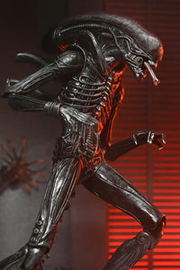 Alien Romulus 7in Ultimate Xenomorph XX121 Action Figure Action Figure