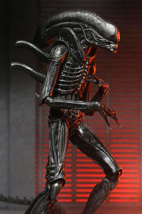 Alien Romulus 7in Ultimate Xenomorph XX121 Action Figure Action Figure