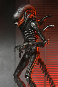 Alien Romulus 7in Ultimate Xenomorph XX121 Action Figure Action Figure