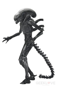 Alien Romulus 7in Ultimate Xenomorph XX121 Action Figure Action Figure