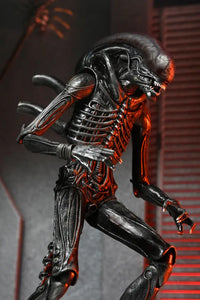 Alien Romulus 7in Ultimate Xenomorph XX121 Action Figure Pre Order Price Action Figure