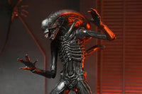 Alien Romulus 7in Ultimate Xenomorph XX121 Action Figure Action Figure