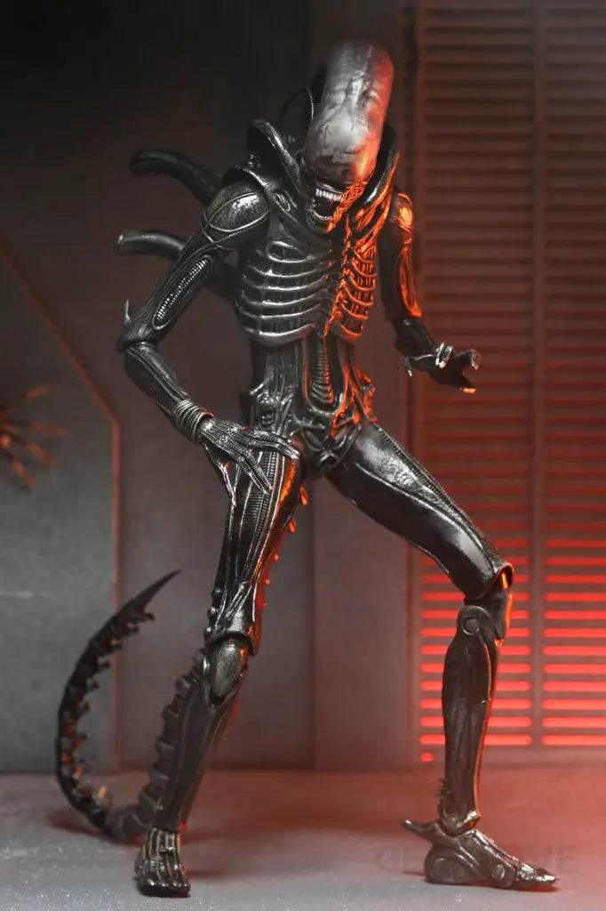 Alien Romulus 7in Ultimate Xenomorph XX121 Action Figure Action Figure