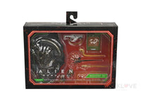 Alien Romulus Accessory Set Accessories