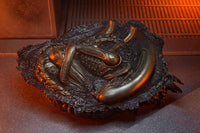 Alien Romulus Accessory Set Accessories
