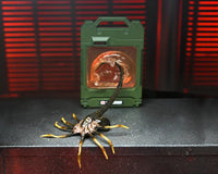 Alien Romulus Accessory Set Accessories