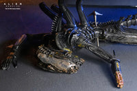 Alien: Romulus Suspended Lab Xenomorph XX121 Deluxe Action Figure Action Figure