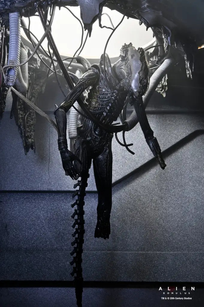 Alien: Romulus Suspended Lab Xenomorph XX121 Deluxe Action Figure Action Figure