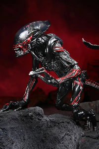 Aliens - 7 Scale Action Figure Kenner Tribute Night Cougar Alien Preorder