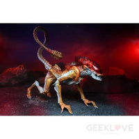 Aliens - 7 Scale Action Figure Kenner Tribute Panther Alien Preorder