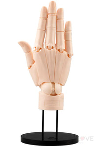 Artist Support Item Hand Model/R Pale Orange Pre Order Price Artist Support Line