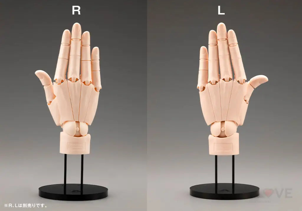 Artist Support Item Hand Model/R Pale Orange Artist Support Line