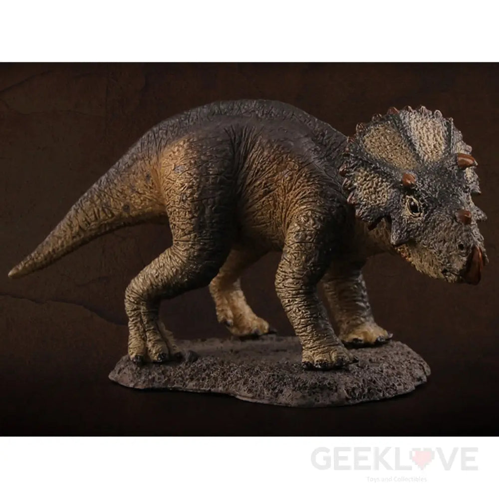 Baby Triceratops Museum Class Replica Back Order