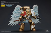 Blood Angels Sanguinary Guard With Encarmine Axe And Inferno Pistol Action Figure