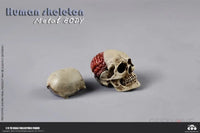 COO Model: 1/6 Scale The Human Skeleton Figure (Diecast Alloy) - GeekLoveph