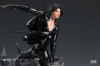 DC Rebirth - Catwoman Statue - GeekLoveph