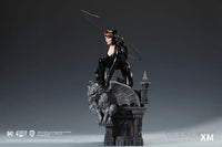 DC Rebirth - Catwoman Statue - GeekLoveph