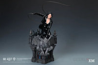 DC Rebirth - Catwoman Statue - GeekLoveph