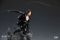 DC Rebirth - Catwoman Statue - GeekLoveph