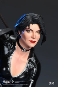 DC Rebirth - Catwoman Statue - GeekLoveph
