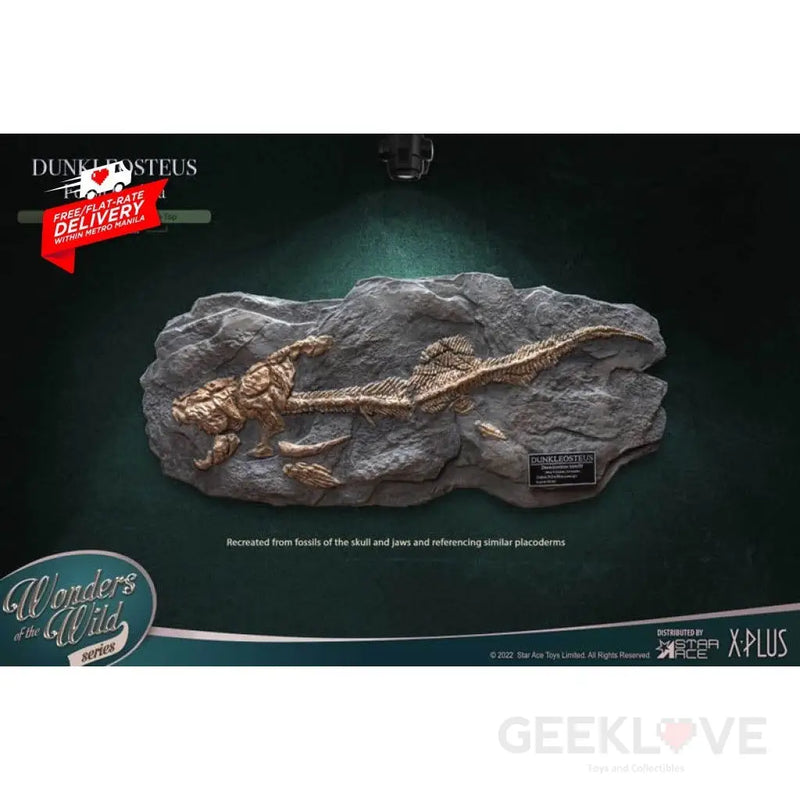 Dunkleosteus Fossil Replica