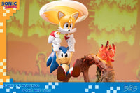 F4F - Sonic the HedgeHog: Sonic and Tails (Standard Ed.) - GeekLoveph