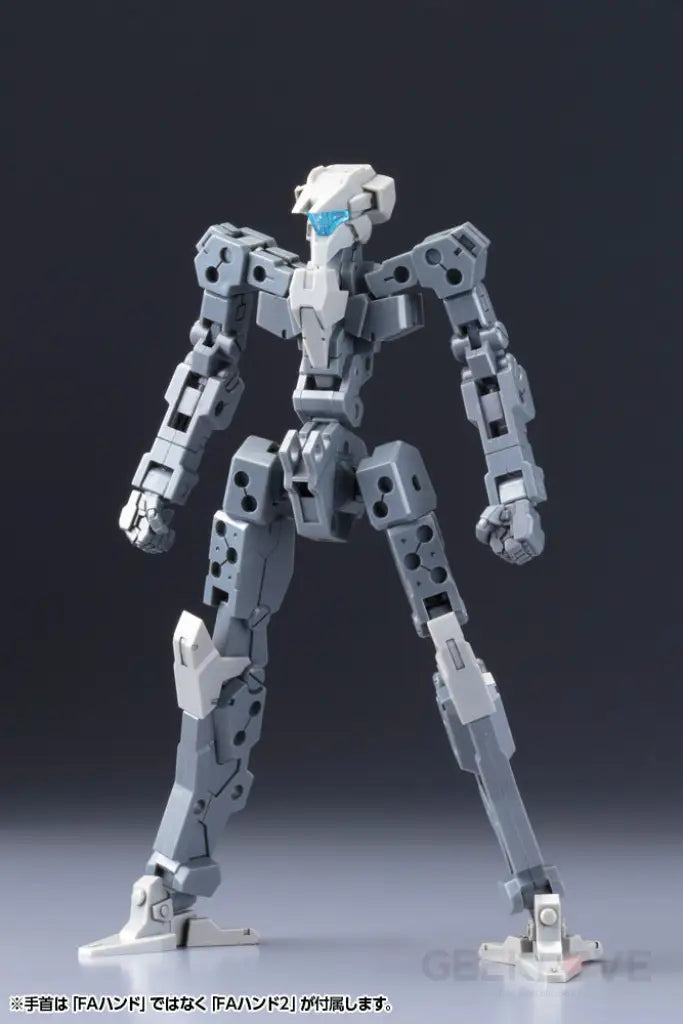 FRAME ARCHITECT TYPE-001 GRAY RE2 - GeekLoveph