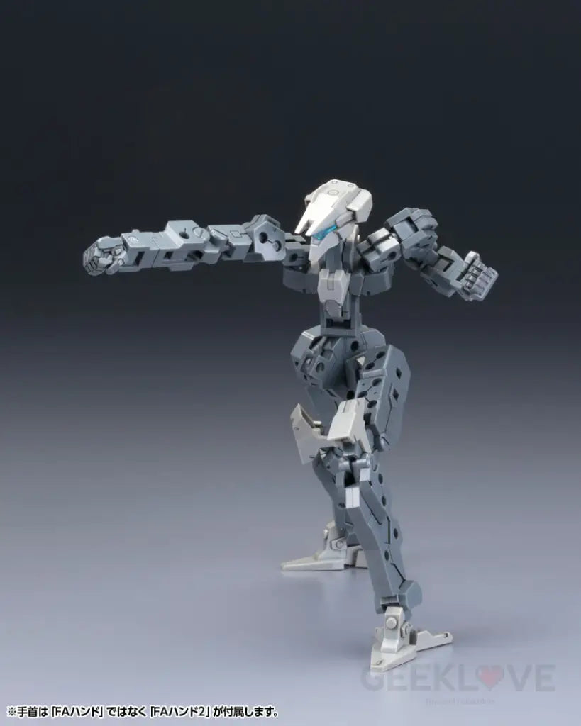 FRAME ARCHITECT TYPE-001 GRAY RE2 - GeekLoveph