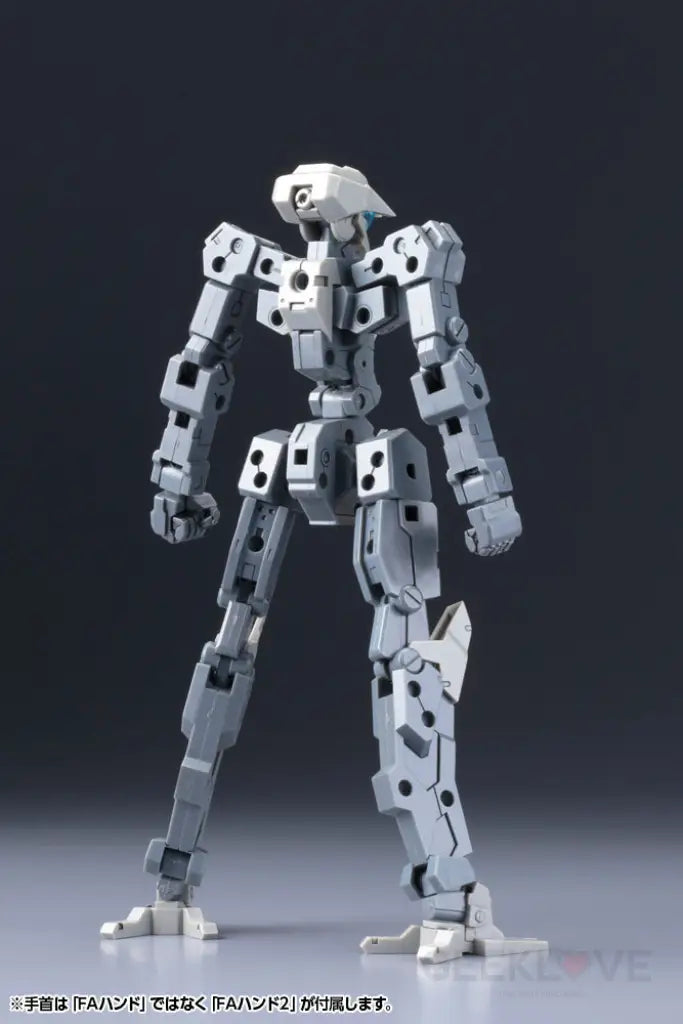 FRAME ARCHITECT TYPE-001 GRAY RE2 - GeekLoveph