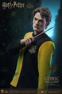 Harry Potter And The Goblet Of Fire Cedric Diggory 1/6 Scale Figure Preorder