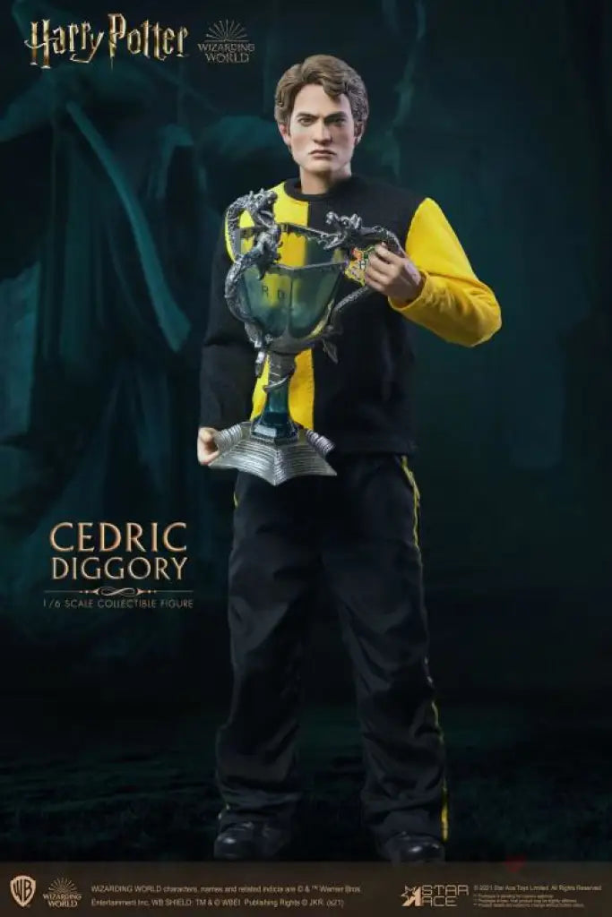 Harry Potter And The Goblet Of Fire Cedric Diggory 1/6 Scale Figure Preorder