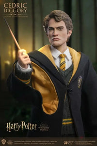 Harry Potter And The Goblet Of Fire Cedric Diggory Dx 1/6 Scale Figure Preorder