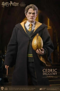 Harry Potter And The Goblet Of Fire Cedric Diggory Dx 1/6 Scale Figure Preorder